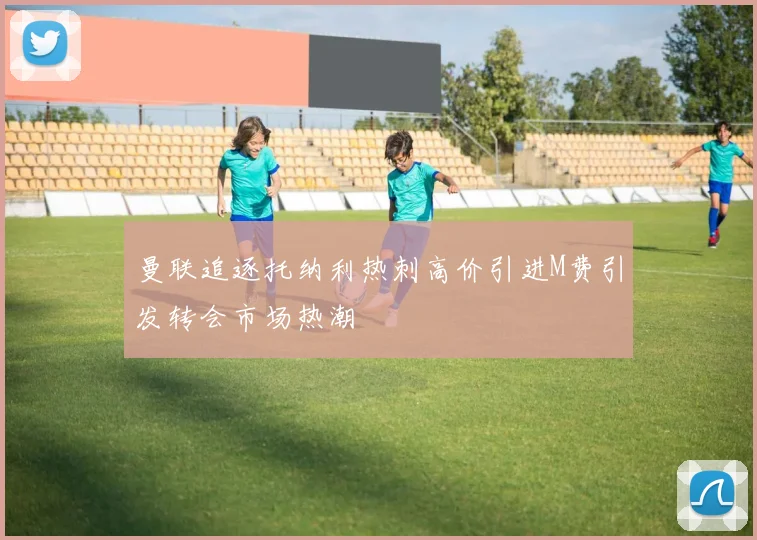 曼联追逐托纳利热刺高价引进M费引发转会市场热潮